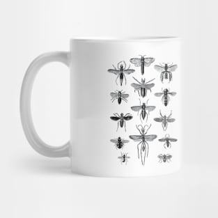 Entomologist Insect Insects Vintage Mug